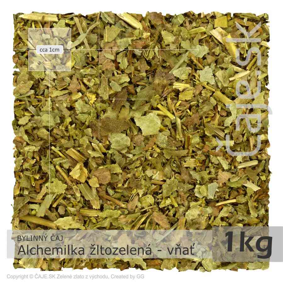 BYLINNÝ ČAJ Alchemilka žltozelená – vňať (1kg)