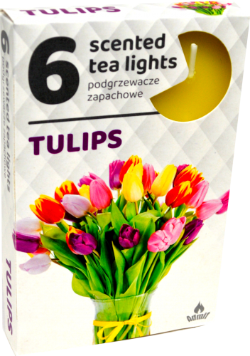 ČAJOVÉ SVIEČKY Tulipány (Tulips) – 6ks