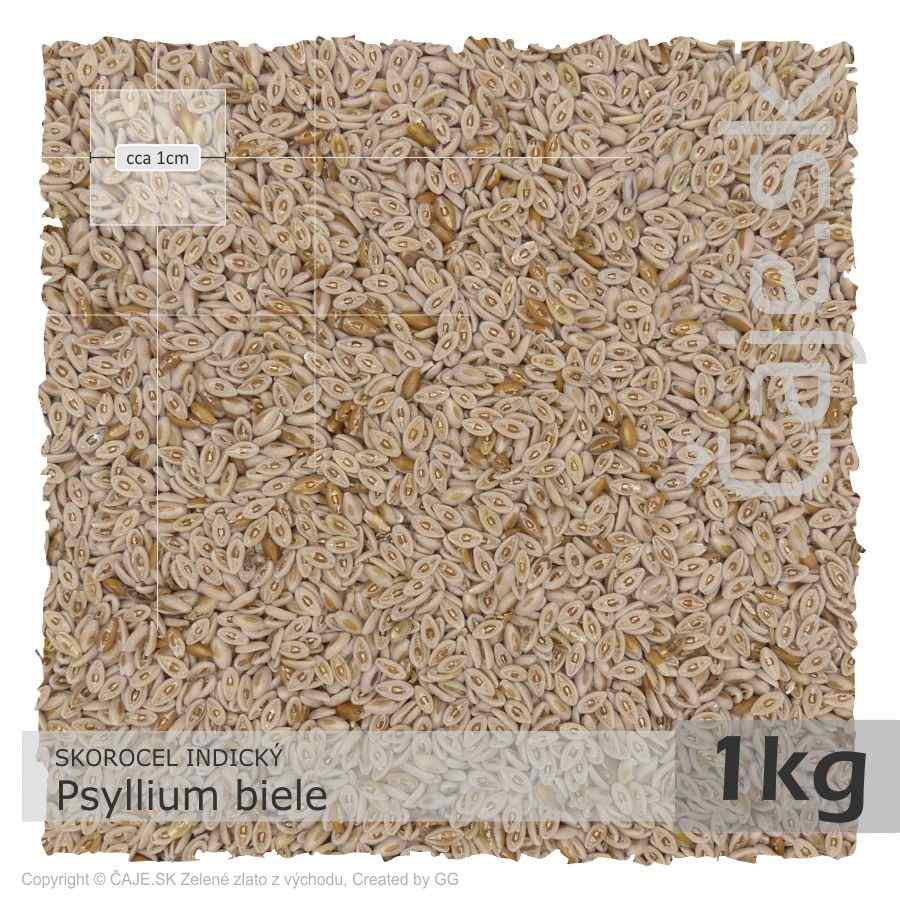 Psyllium biele (1kg)