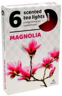 ČAJOVÉ SVIEČKY Magnólia (Magnolia) – 6ks